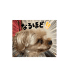 つっきぃとまっきぃが動くよ（個別スタンプ：15）