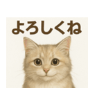 MEL MEL CAT（個別スタンプ：1）