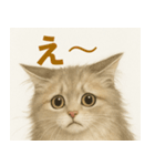 MEL MEL CAT（個別スタンプ：3）