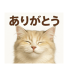 MEL MEL CAT（個別スタンプ：5）