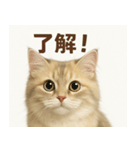 MEL MEL CAT（個別スタンプ：7）