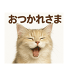 MEL MEL CAT（個別スタンプ：8）