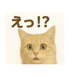 MEL MEL CAT（個別スタンプ：11）