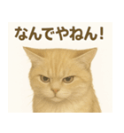 MEL MEL CAT（個別スタンプ：17）