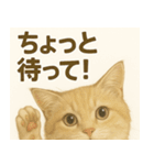 MEL MEL CAT（個別スタンプ：19）