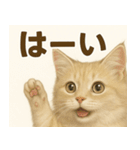MEL MEL CAT（個別スタンプ：20）