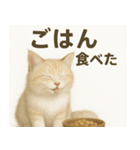 MEL MEL CAT（個別スタンプ：21）