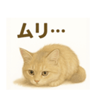 MEL MEL CAT（個別スタンプ：24）