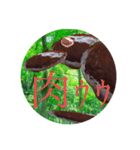 謎のハンバーグ生物〜鳥編〜（個別スタンプ：1）