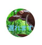 謎のハンバーグ生物〜鳥編〜（個別スタンプ：5）