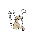 ミックス犬のトワ日記（個別スタンプ：14）