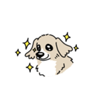 ミックス犬のトワ日記（個別スタンプ：19）