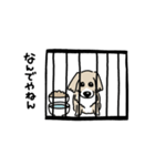 ミックス犬のトワ日記（個別スタンプ：20）