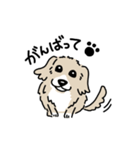 ミックス犬のトワ日記（個別スタンプ：21）