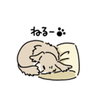 ミックス犬のトワ日記（個別スタンプ：24）