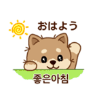 マランの毎日が楽しい！ 日本語、韓国語版（個別スタンプ：1）