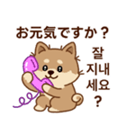 マランの毎日が楽しい！ 日本語、韓国語版（個別スタンプ：2）