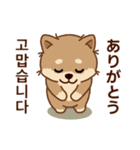 マランの毎日が楽しい！ 日本語、韓国語版（個別スタンプ：3）