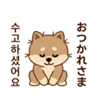 マランの毎日が楽しい！ 日本語、韓国語版（個別スタンプ：4）