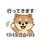 マランの毎日が楽しい！ 日本語、韓国語版（個別スタンプ：12）