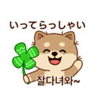 マランの毎日が楽しい！ 日本語、韓国語版（個別スタンプ：13）
