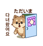 マランの毎日が楽しい！ 日本語、韓国語版（個別スタンプ：14）