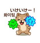 マランの毎日が楽しい！ 日本語、韓国語版（個別スタンプ：17）