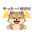 マランの毎日が楽しい！ 日本語、韓国語版（個別スタンプ：18）