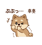 マランの毎日が楽しい！ 日本語、韓国語版（個別スタンプ：20）