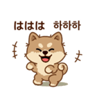 マランの毎日が楽しい！ 日本語、韓国語版（個別スタンプ：21）