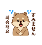 マランの毎日が楽しい！ 日本語、韓国語版（個別スタンプ：24）