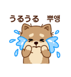 マランの毎日が楽しい！ 日本語、韓国語版（個別スタンプ：25）
