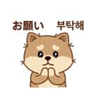 マランの毎日が楽しい！ 日本語、韓国語版（個別スタンプ：26）