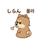 マランの毎日が楽しい！ 日本語、韓国語版（個別スタンプ：27）