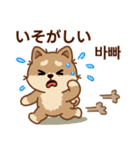 マランの毎日が楽しい！ 日本語、韓国語版（個別スタンプ：29）