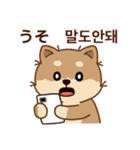 マランの毎日が楽しい！ 日本語、韓国語版（個別スタンプ：30）