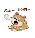 マランの毎日が楽しい！ 日本語、韓国語版（個別スタンプ：38）