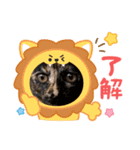 しまちゃんファミリー③❤（個別スタンプ：3）