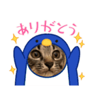 しまちゃんファミリー③❤（個別スタンプ：7）