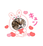 しまちゃんファミリー③❤（個別スタンプ：14）