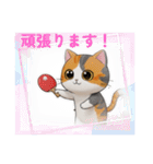 可愛い猫の卓球エンジョイ（個別スタンプ：6）