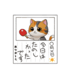 可愛い猫の卓球エンジョイ（個別スタンプ：11）