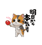 可愛い猫の卓球エンジョイ（個別スタンプ：13）