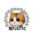 可愛い猫の卓球エンジョイ（個別スタンプ：24）