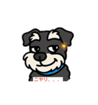 ミニシュナくん（ミニチュアシュナウザー）（個別スタンプ：2）