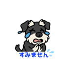 ミニシュナくん（ミニチュアシュナウザー）（個別スタンプ：6）