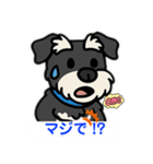 ミニシュナくん（ミニチュアシュナウザー）（個別スタンプ：8）