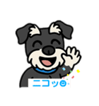 ミニシュナくん（ミニチュアシュナウザー）（個別スタンプ：10）