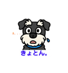 ミニシュナくん（ミニチュアシュナウザー）（個別スタンプ：12）