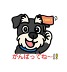 ミニシュナくん（ミニチュアシュナウザー）（個別スタンプ：13）